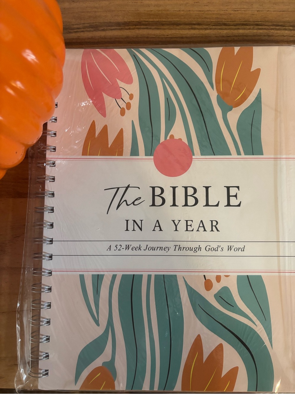 The Bible In A Year Spiral Journal - Teal, Pink, Tan
